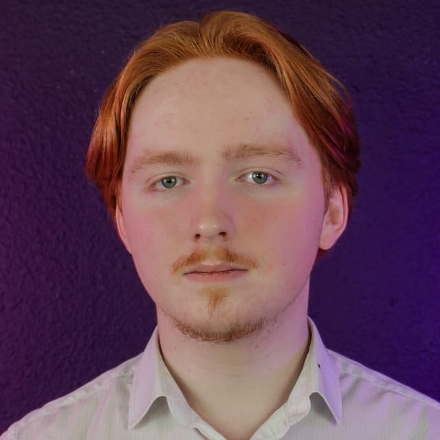Louis ROMAIN portrait
